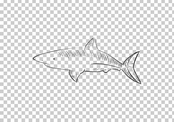 Tiger Shark Squaliform Sharks /m/02csf Line Art PNG, Clipart, Artwork, Automotive Design, Biology, Black And White, Car Free PNG Download