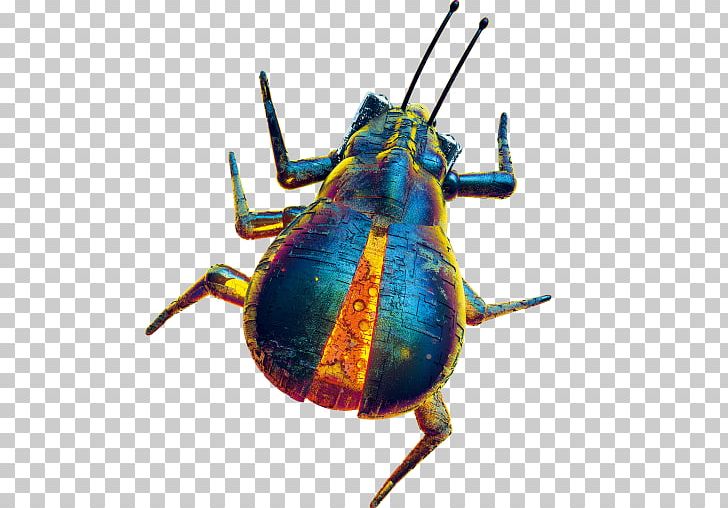 Weevil The Lost Property Office The Ministry Great Fire Of London Beetle PNG, Clipart,  Free PNG Download