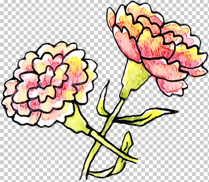 Floral Design PNG, Clipart, Biology, Cut Flowers, Floral Design, Flower, Leaf Free PNG Download