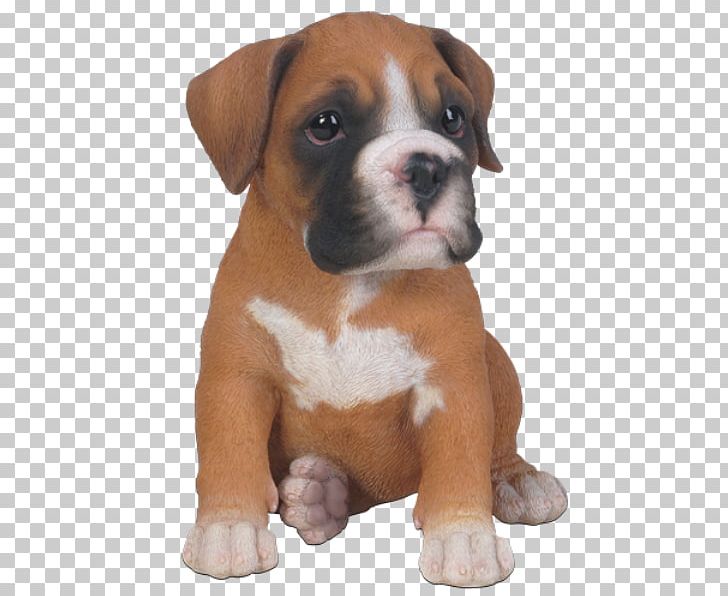 Boxer Puppy Border Collie Rottweiler Old English Sheepdog PNG, Clipart, Animal, Animals, Beagle, Border Collie, Boxer Free PNG Download