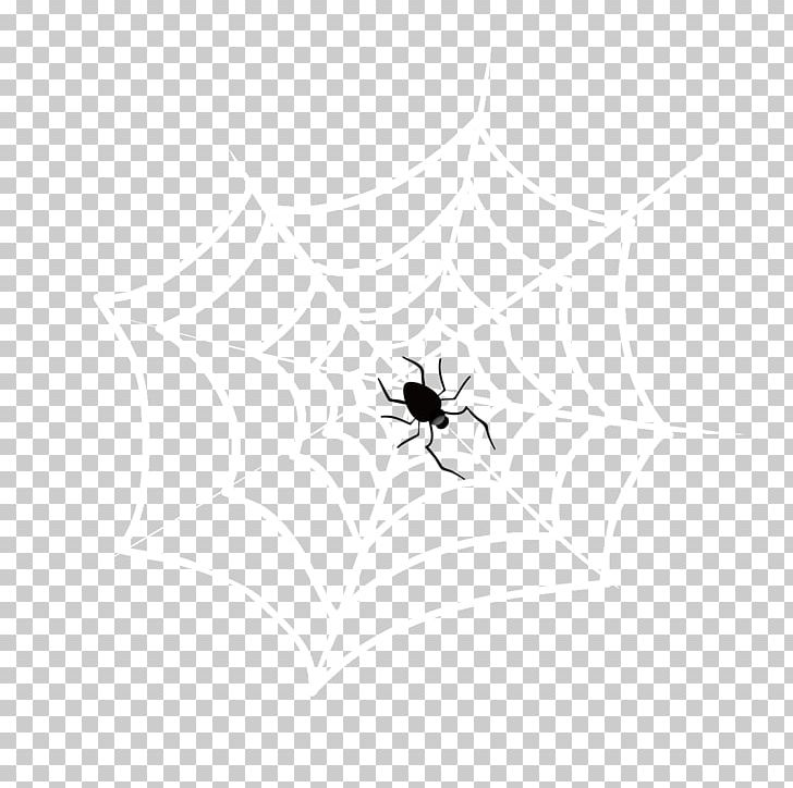 White Spider Web PNG, Clipart, Animal, Animals, Arthropod, Biological, Black Free PNG Download