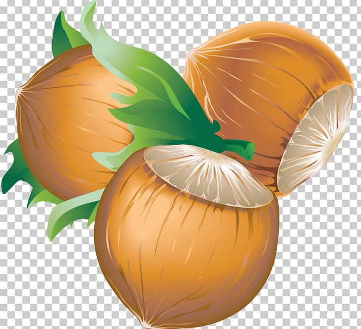 Chinese Chestnut Leaf PNG, Clipart, Calabaza, Chestnut, Chinese Chestnut, Commodity, Cucurbita Free PNG Download