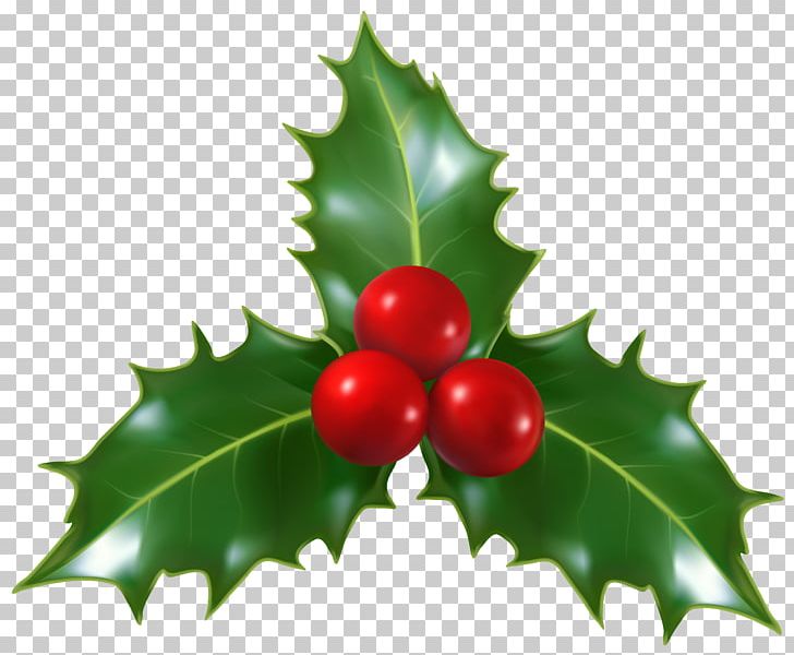 Mistletoe Christmas Common Holly PNG, Clipart, Aquifoliaceae, Aquifoliales, Berry, Christmas, Christmas Clipart Free PNG Download