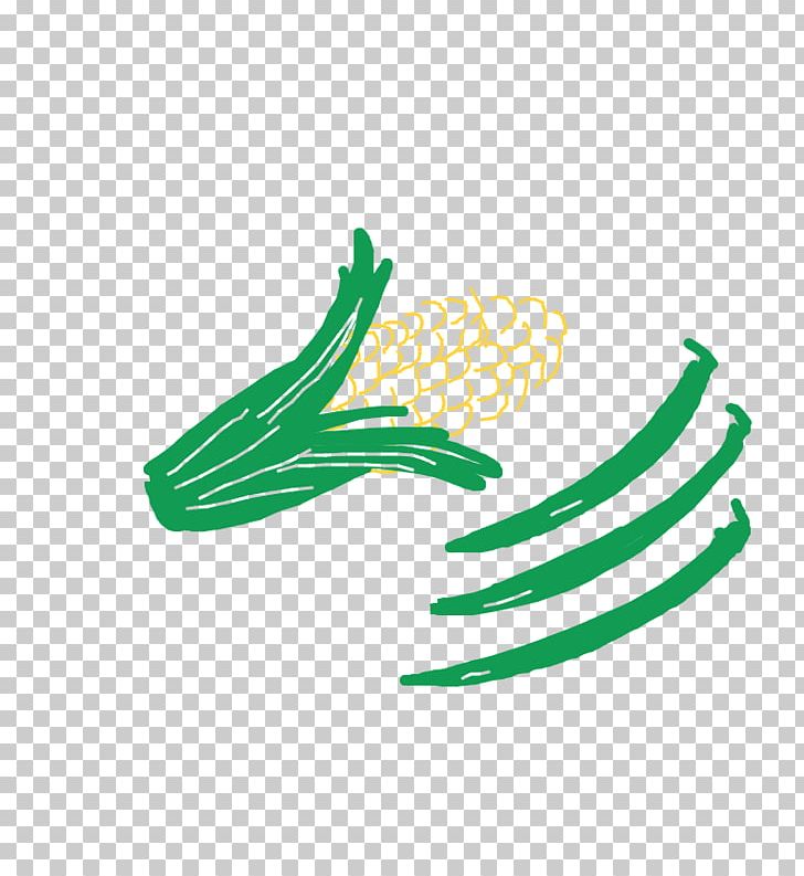 Vegetable Logo PNG, Clipart, Food Drinks, Grass, Green, Leaf, Line Free PNG Download