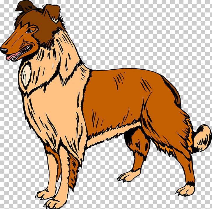 Bernese Mountain Dog Rough Collie Old English Sheepdog PNG, Clipart, Anim, Bernese Mountain Dog, Carnivoran, Cartoon, Clip Art Free PNG Download