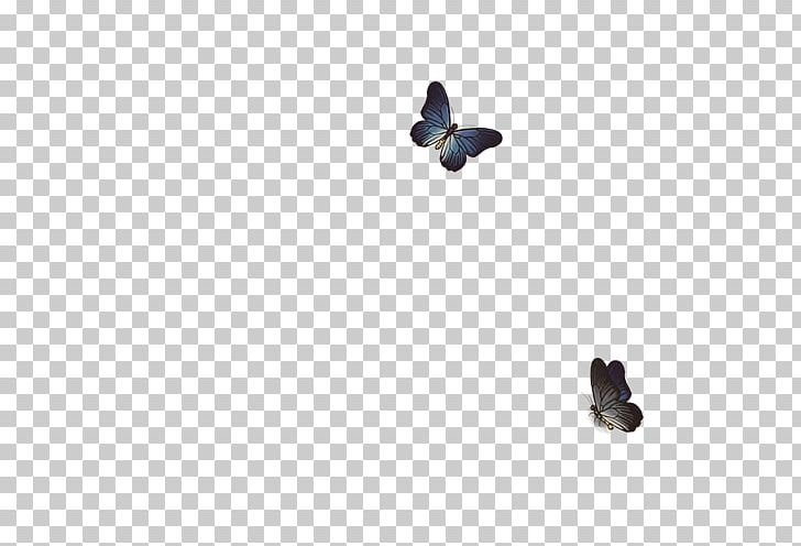 Insect Sky Plc PNG, Clipart, Animals, Bird, Butterfly, Fauna, Insect Free PNG Download