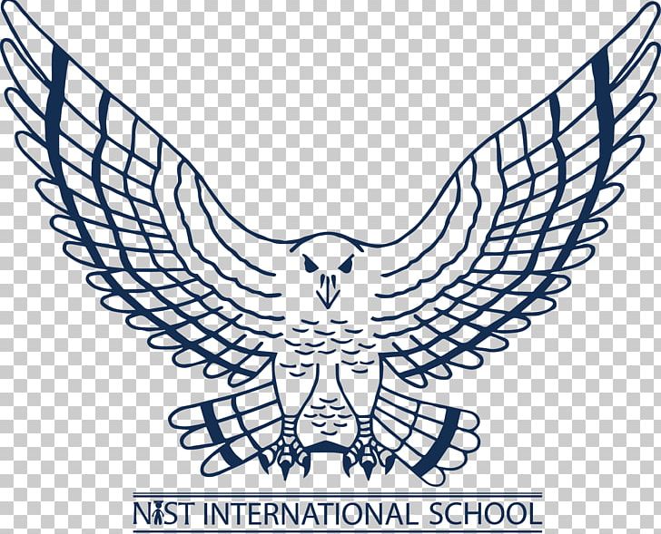 NIST International School Atlanta Falcons Sport Logo PNG, Clipart, Area, Atlanta Falcons, Ball, Basketball, Beak Free PNG Download