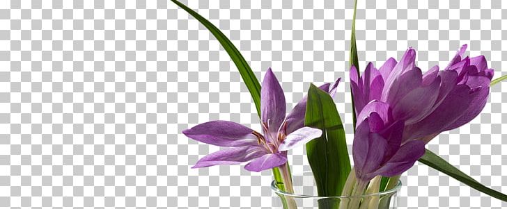 3D Modeling 3D Computer Graphics People PNG, Clipart, 3d Computer Graphics, 3d Modeling, Cut Flowers, Download, Flora Free PNG Download