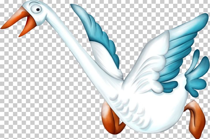 Duck Bird Cygnini PNG, Clipart, Animal, Animals, Animation, Anser, Background White Free PNG Download