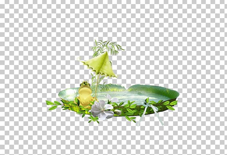 Leaf Herbalism Alternative Health Services Desktop PNG, Clipart, Alternative Health Services, Computer, Computer Wallpaper, Desktop Wallpaper, Floral Design Free PNG Download