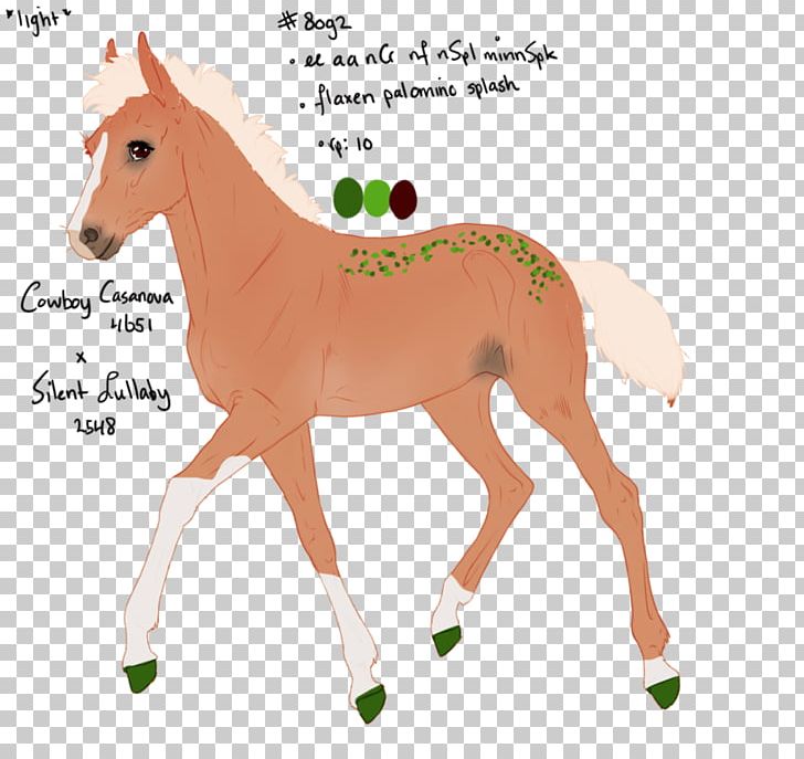 Mule Mustang Pony Stallion Foal PNG, Clipart, Bridle, Colt, Cowboy Casanova, Equestrian, Foal Free PNG Download