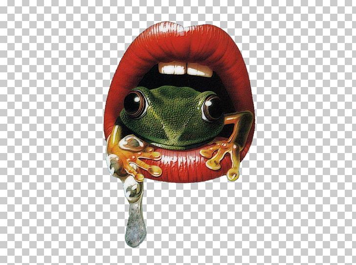 T-shirt Amphibians Frog Mouth Clothing PNG, Clipart, Amphibian, Amphibians, Baby Toddler Onepieces, Bluza, Clothing Free PNG Download
