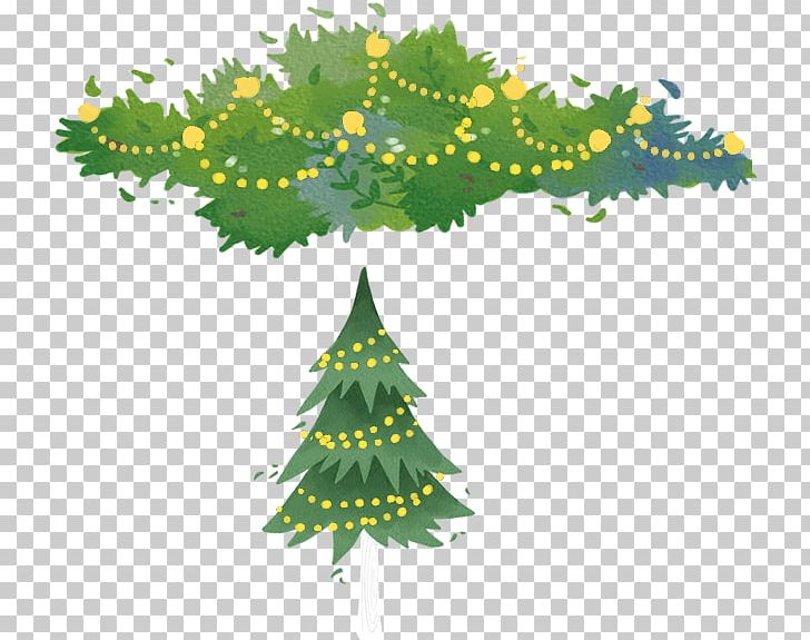 Christmas Tree Spruce Fir Pine PNG, Clipart, Autumn Tree, Branch, Chart, Christmas, Christmas Decoration Free PNG Download