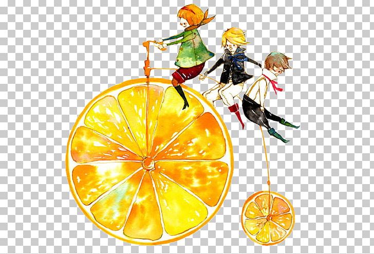 Juice Orange Mountain Bikes Bicycle PNG, Clipart, Adobe Illustrator, Auglis, Bike, Child, Citrus Free PNG Download