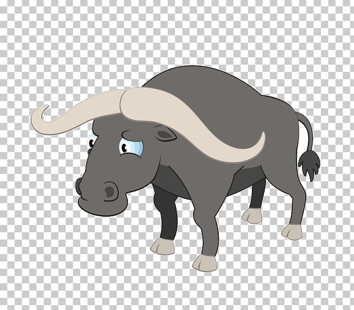 Photography PNG, Clipart, Animal Figure, Bovini, Bull, Cartoon, Cattle Like Mammal Free PNG Download