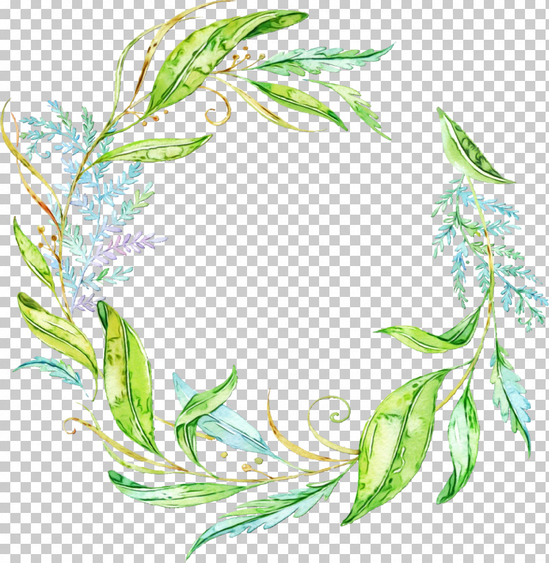 Leaf Plant Tarragon Herbal PNG, Clipart, Herbal, Leaf, Paint, Plant, Tarragon Free PNG Download