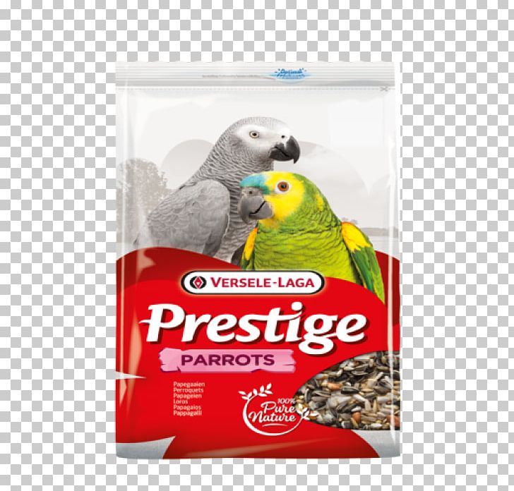 Budgerigar Parrot Bird Versele Laga Prestige Parakeets Mixture Of Seeds Domestic Canary PNG, Clipart, Animals, Beak, Bird, Bird Food, Bird Supply Free PNG Download