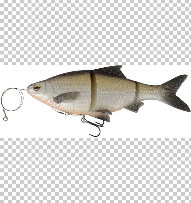 Fishing Baits & Lures Soft Plastic Bait Northern Pike PNG, Clipart, Angling, Bait, Bony Fish, Common Roach, Common Rudd Free PNG Download