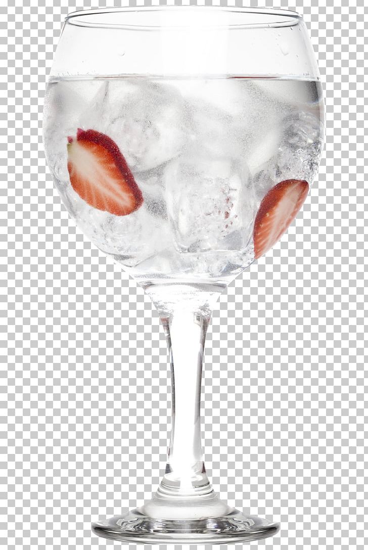 Gin And Tonic Wine Glass Cocktail Garnish PNG, Clipart, Champagne, Champagne Glass, Champagne Stemware, Cocktail, Cocktail Garnish Free PNG Download