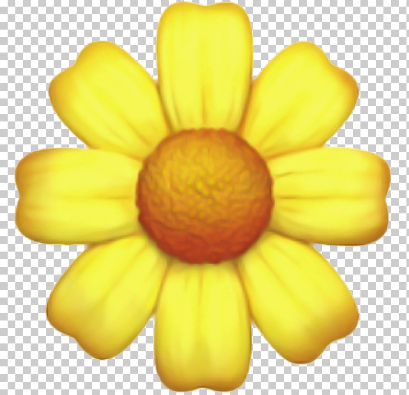 Yellow Petal Flower Plant Daisy Family PNG, Clipart, Daisy Family, Flower, Petal, Plant, Wildflower Free PNG Download