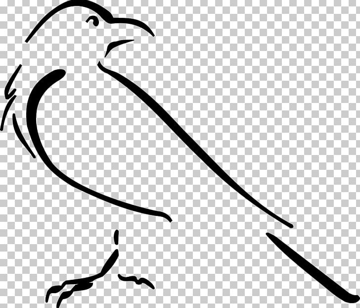 Crow Line Art Drawing PNG, Clipart, Animals, Art, Artwork, Beak, Bird Free PNG Download