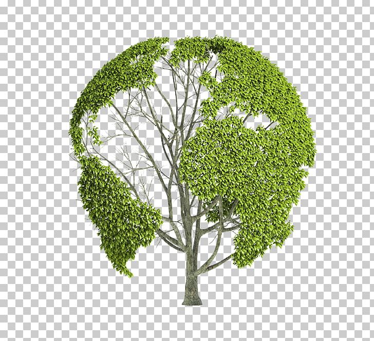 Earth World Globe Natural Environment PNG, Clipart, Branch, Effect, Effects, Environmental Protection, Family Tree Free PNG Download
