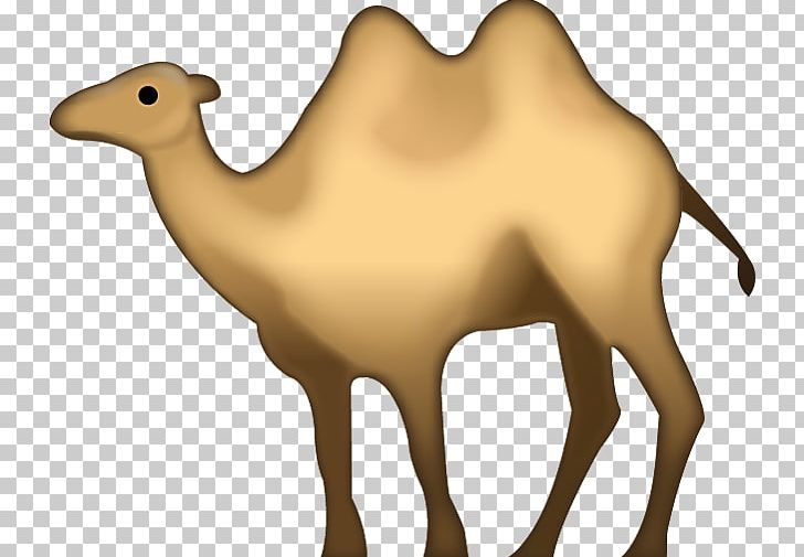 Bactrian Camel Dromedary Emojipedia IPhone PNG, Clipart, Bactrian Camel, Camel, Camel Like Mammal, Cattle Like Mammal, Computer Icons Free PNG Download