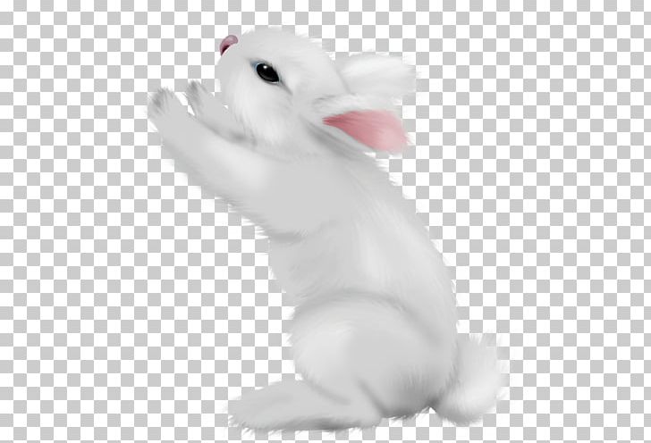 Domestic Rabbit Hare Easter Bunny Animal PNG, Clipart, Advertising, Animal, Animal Figure, Animals, Domestic Rabbit Free PNG Download