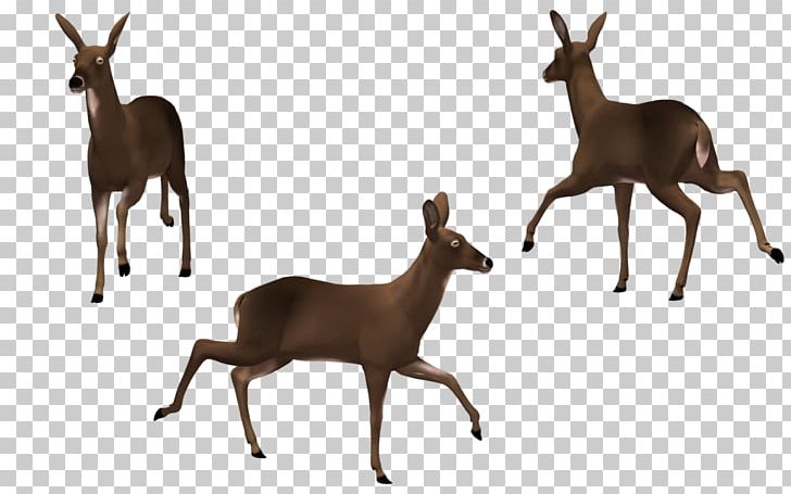 Elk Horse Drawing PNG, Clipart, 3d Computer Graphics, Animals, Antler, Cartoon, Cartoon Horse Free PNG Download