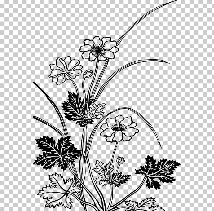 Floral Design Flower Drawing PNG, Clipart, Art, Black And White, Branch, Color, Cut Flowers Free PNG Download
