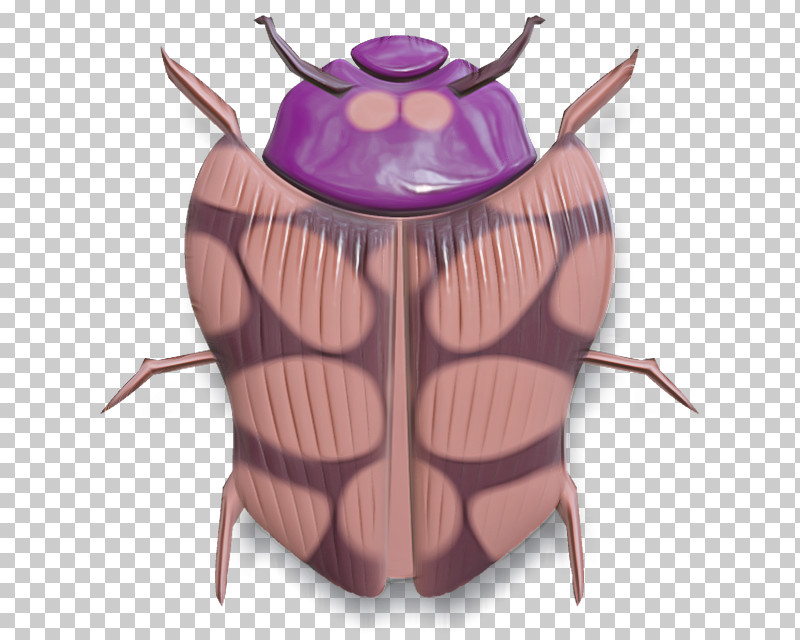 Insect Beetle Bug PNG, Clipart, Beetle, Bug, Insect Free PNG Download