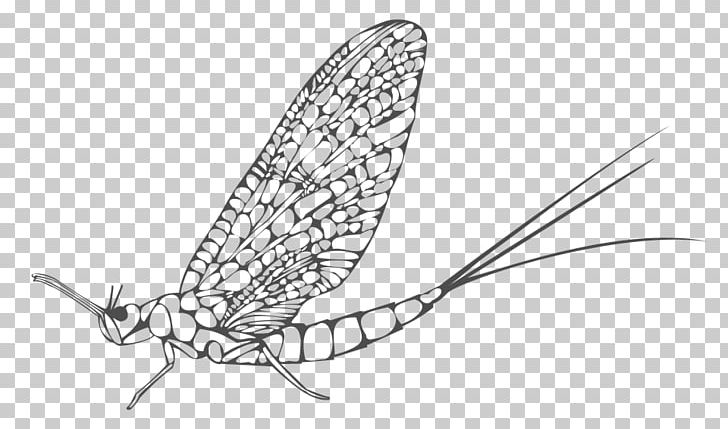 Insect Mayfly Butterfly Ephemera PNG, Clipart, Animals, Black And White, Blade, Butterflies And Moths, Butterfly Free PNG Download