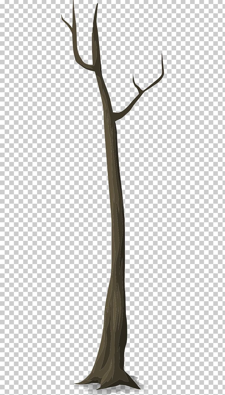 Twig Trunk Tree Branch Snag PNG, Clipart, Antler, Autumn Forest, Branch, Deer, Forest Free PNG Download