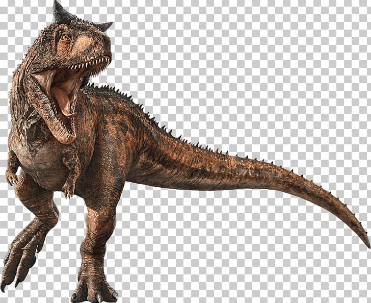 Velociraptor Tyrannosaurus Carnotaurus Jurassic World Evolution Stygimoloch PNG, Clipart, Baryonyx, Carnotaurus, Dinosaur, Extinction, Indominus Rex Free PNG Download
