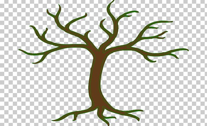Branch Tree Frames Drawing PNG, Clipart, Artwork, Branch, Drawing, Flora, Flower Free PNG Download