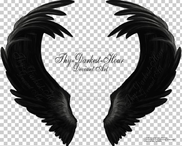 Drawing Angel Wing Art Feather PNG, Clipart, Angel Wing, Art, Avatan, Avatan Plus, Black Wolf Free PNG Download