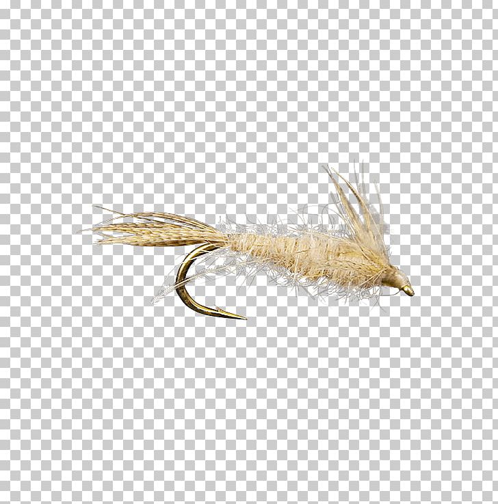 Fly Fishing Rhithrogena Germanica Nymph Holly Flies PNG, Clipart, Artificial Fly, Brand, Feather, Fishing, Fly Fishing Free PNG Download