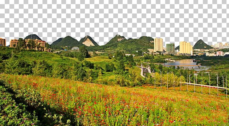 Hong Kong Wetland Park Liupanshui PNG, Clipart, Amusement Park, Attractions, Beauty, Beauty Salon, Download Free PNG Download