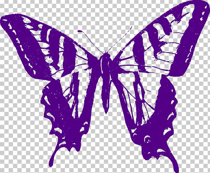 Butterfly Papilio Multicaudata Violet PNG, Clipart, Arthropod, Brush Footed Butterfly, Butterflies And Moths, Butterfly, Insect Free PNG Download