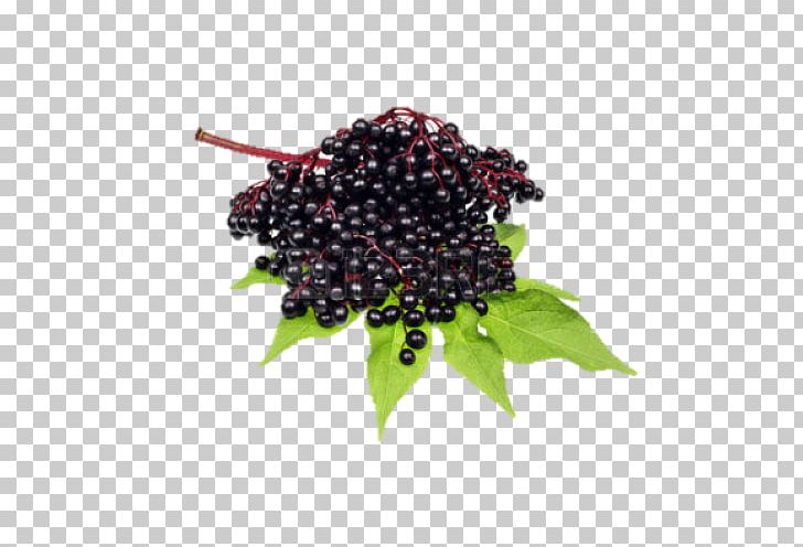 Elderflower Cordial Fruit Stock Photography Dietary Supplement PNG, Clipart, Berry, Bilberry, Blackberry, Blueberry, Boysenberry Free PNG Download