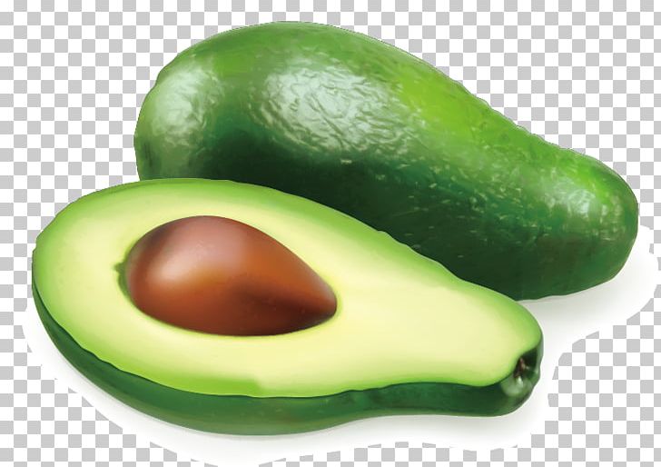 Avocado Auglis Illustration PNG, Clipart, Auglis, Avocado Juice, Avocados, Avocado Smoothie, Avocado Tree Free PNG Download