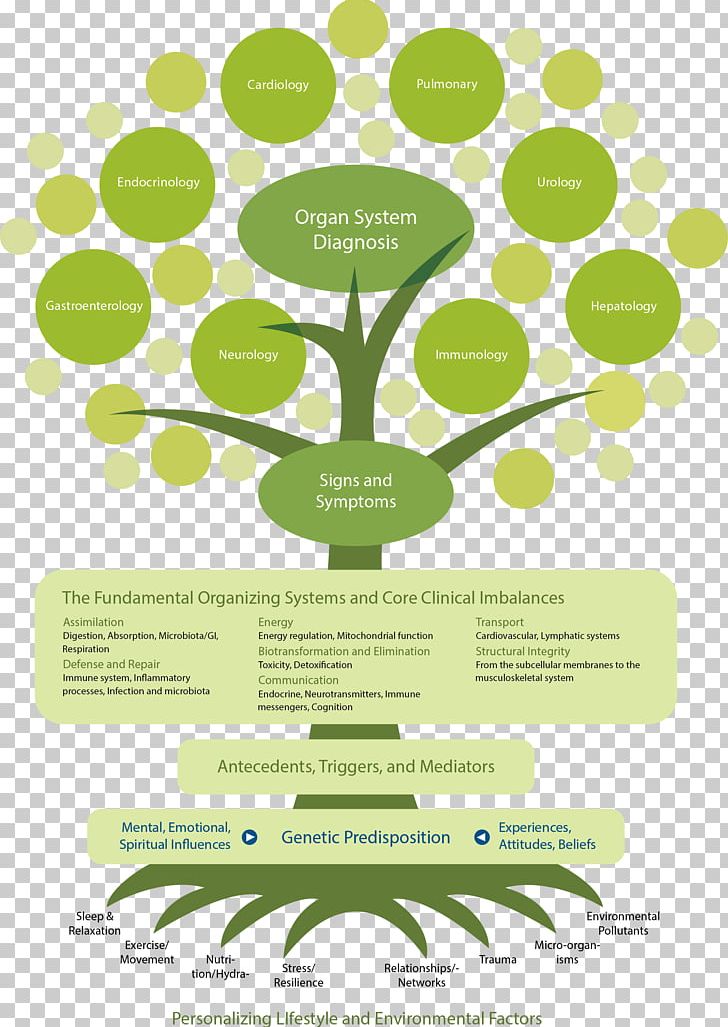 Functional Medicine Health Care Disease PNG, Clipart, Brand, Clinic, Disease, Doctor Of Medicine, Functional Medicine Free PNG Download