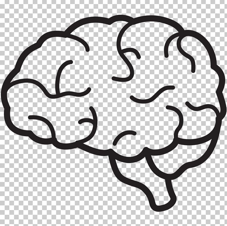 Human Brain Anatomy PNG, Clipart, Anatomy, Area, Black And White, Brain, Brain Tumor Free PNG Download