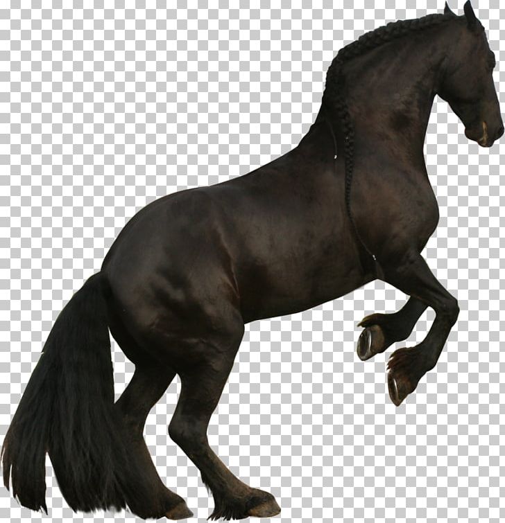 Mustang Friesian Horse Clydesdale Horse Stallion American Quarter Horse PNG, Clipart, Animal, Animal Figure, Black, Bridle, Clydesdale Horse Free PNG Download
