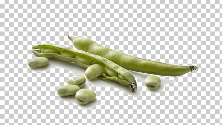 Broad Bean Pod Vegetable Seed PNG, Clipart, Asparagus, Bean, Beans, Broad, Broad Bean Free PNG Download
