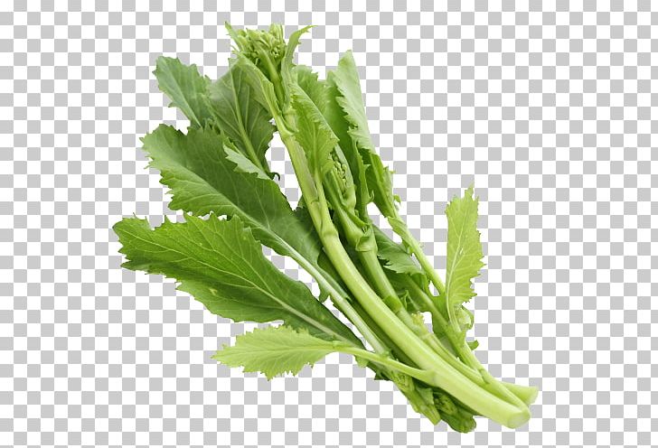 Broccoletto Coriander Food Vegetable Rapini PNG, Clipart, Brassica Rapa, Broad Bean, Broccoletto, Coriander, February Free PNG Download