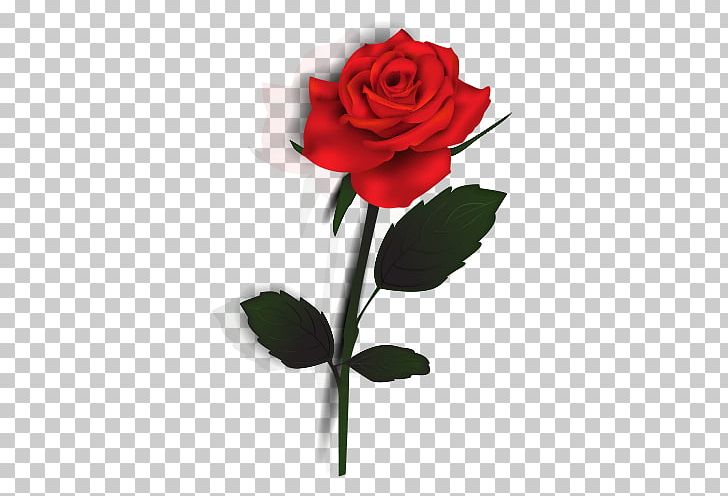 Rose PNG, Clipart, Artificial Flower, Buckle, Clip, Cut Flowers, Download Free PNG Download