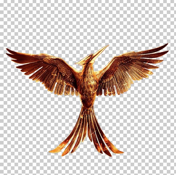 Katniss Everdeen Peeta Mellark The Hunger Games Catching Fire Mockingjay PNG, Clipart, Animals, Beak, Biological, Bird, Bird Of Prey Free PNG Download