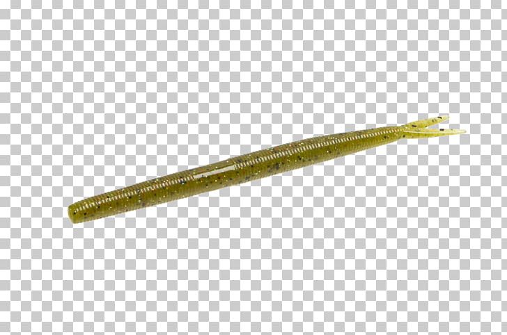 Worm PNG, Clipart, Magic Stick, Worm Free PNG Download