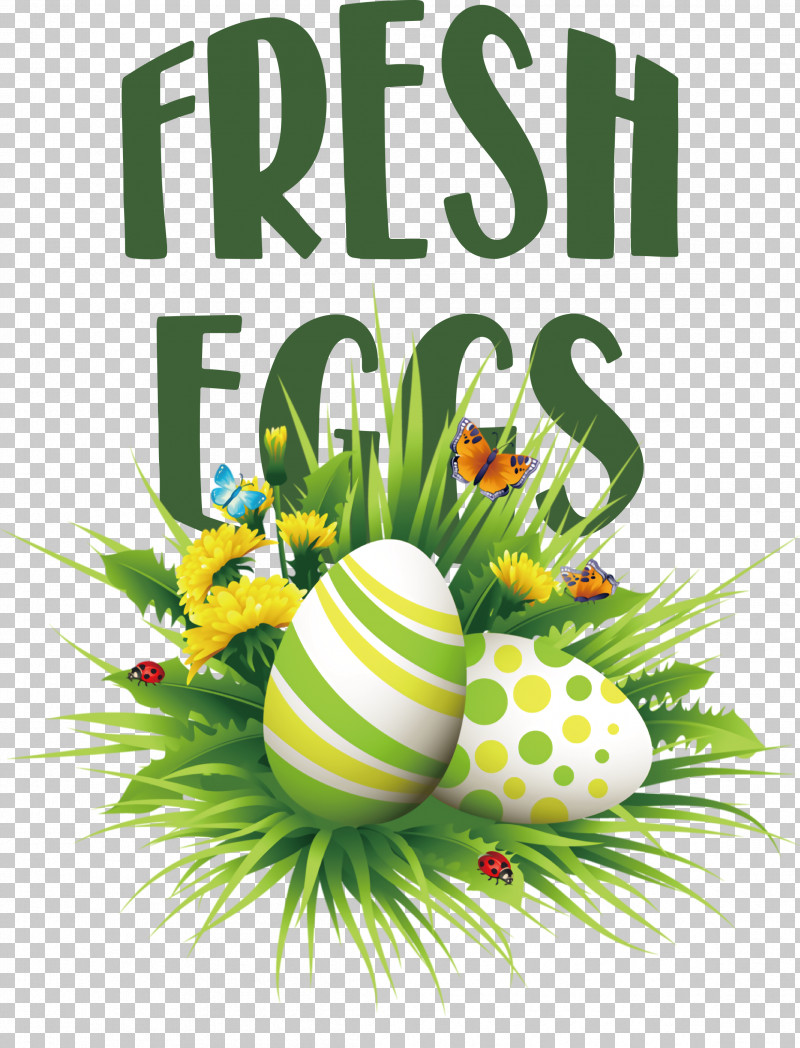 Fresh Eggs PNG, Clipart, Easter Egg, Egg, Fresh Eggs, Fruit, Meter Free PNG Download